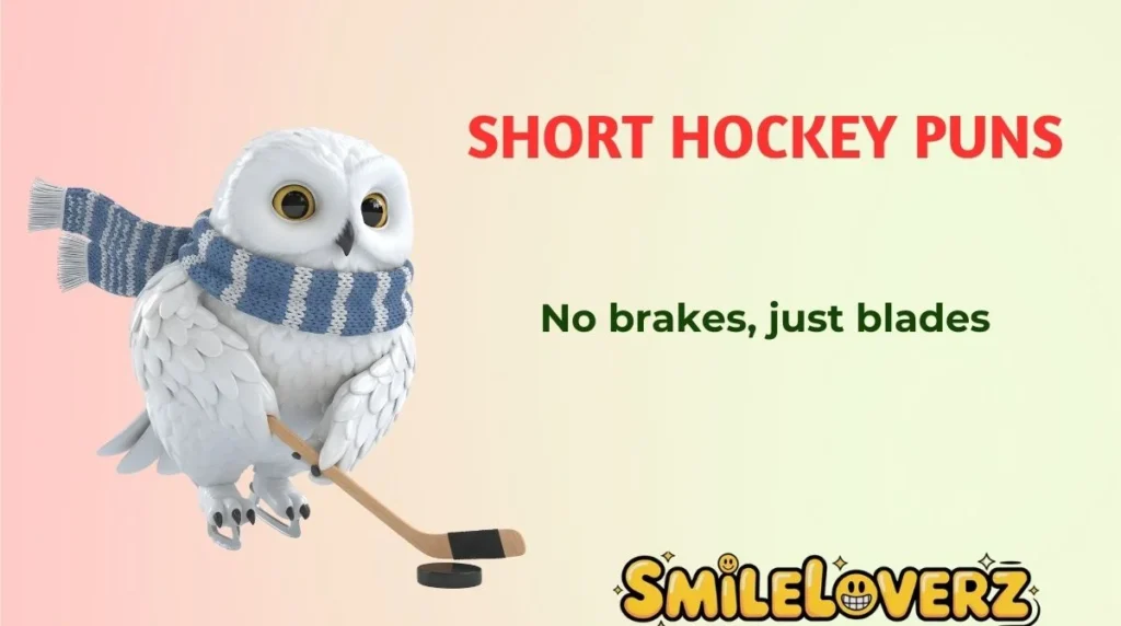 Short Hockey Puns