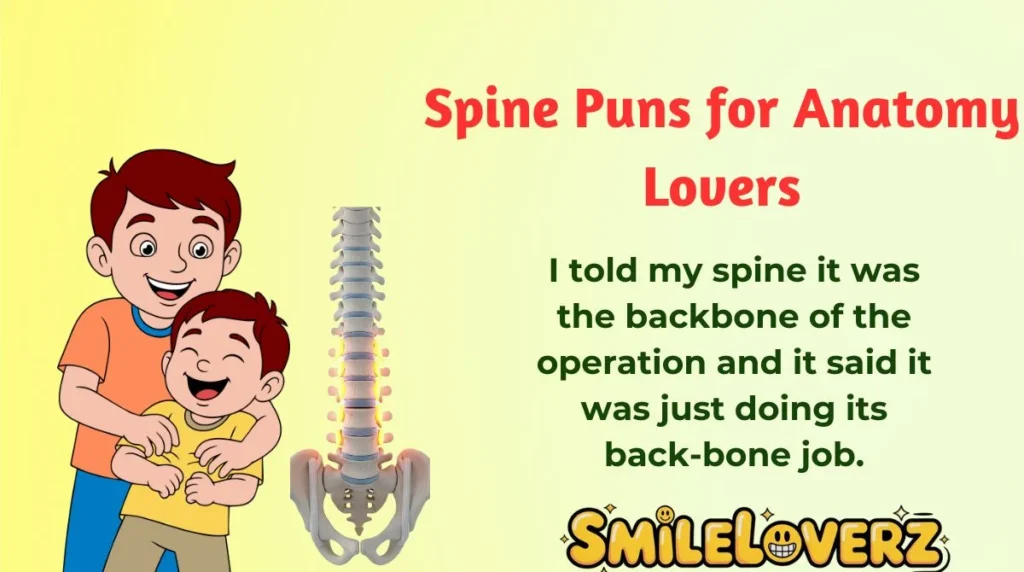 Spine Puns for Anatomy Lovers