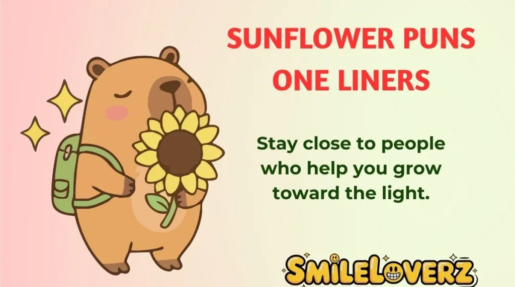 Sunflower Puns One Liners