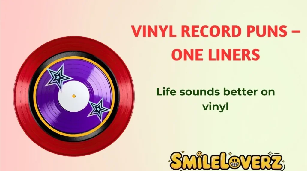 Vinyl Record Puns â One Liners