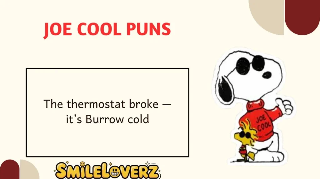 Joe Cool Puns