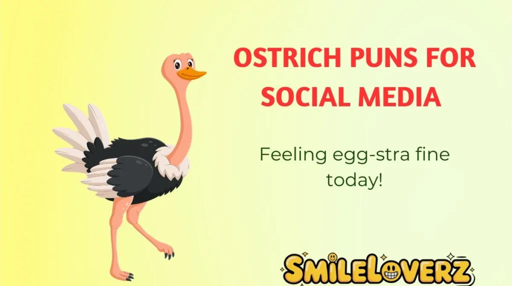 Ostrich Puns for Social Media 