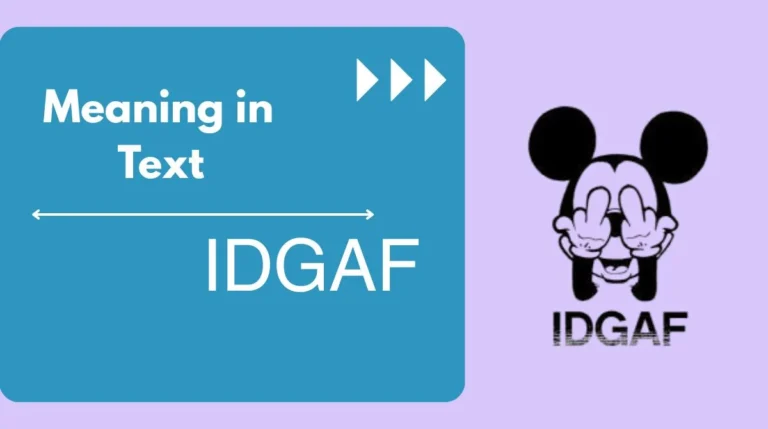 IDGAF Meaning in Text