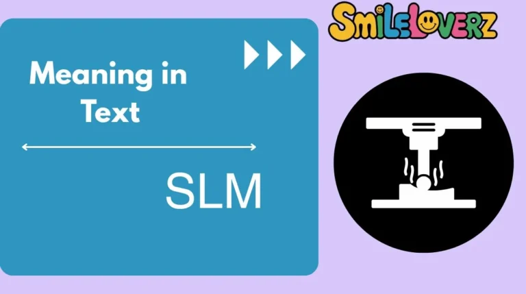 SLM Meaning in Text