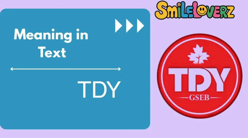 TDY Meaning in Text Instagram: What It Really Stands (Updated 2026) 📱✨ TDY Meaning in Text