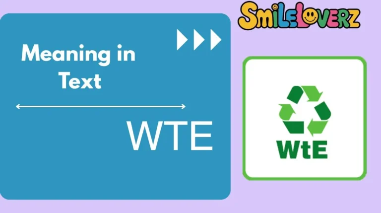 WTE Meaning in Text