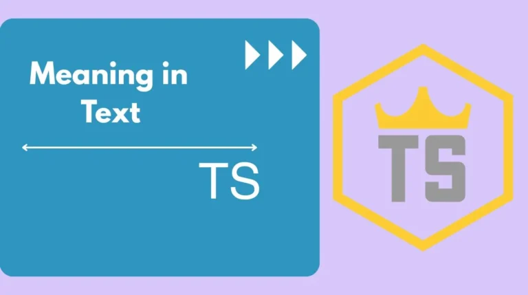TS Meaning in Text